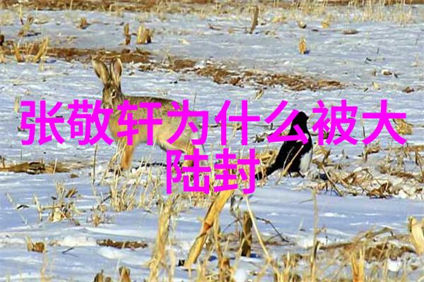 今曰头条今日全球新闻速报