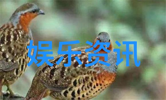 皇权斗争与爱恨纠葛电视剧深宫谍影的主要情节回顾