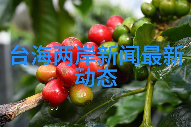 大腕儿的逆袭从三级片演员到一线巨星的荒诞历程