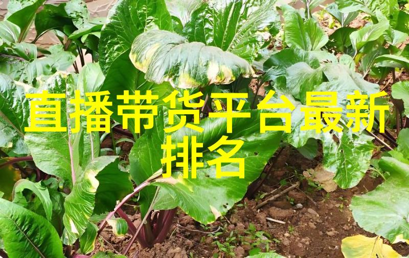 傅先生宠妻如珠似宝傅先生对妻子的深情宠爱