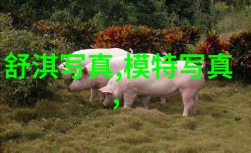电影之光探索伦理电影的深度与广度