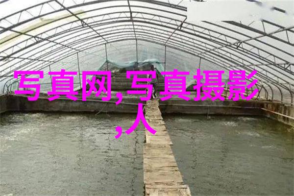2023年微信名字带财运的成长手册致富之路上的智慧指南