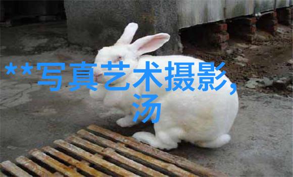 数字之谜远古星辰的守护者