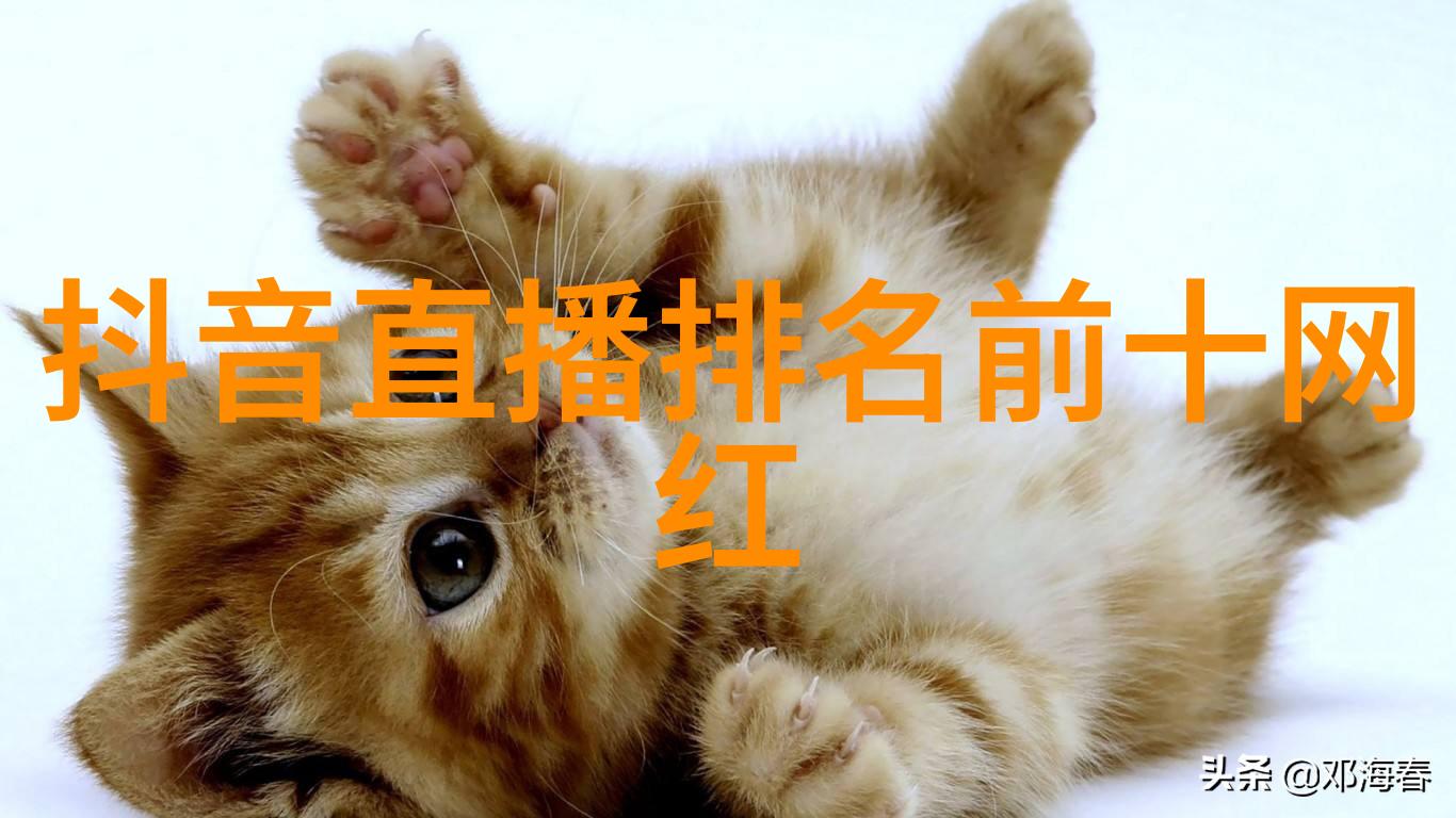茶杯狐 CUPFOX - 努力让找电影变得简单跟着CUPFOX找到你心中的那部电影