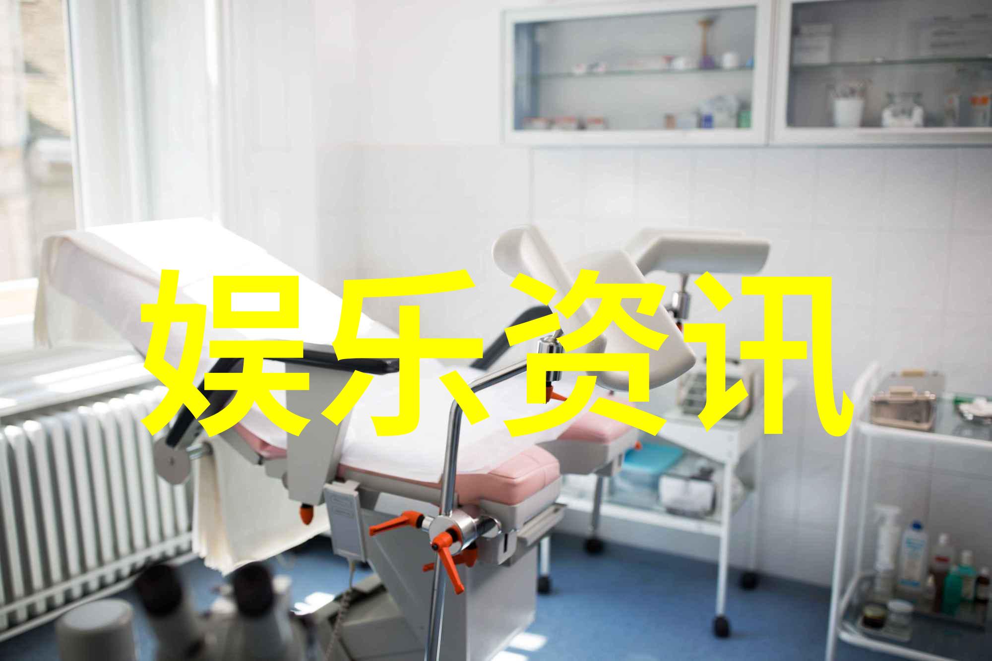 周迅 新品种兰花以她命名