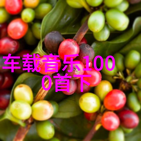 主题我来教你如何在IOS上免费观看TIMI1TV的天美传媒节目