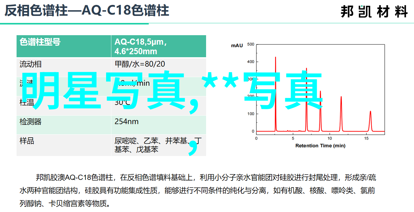 穿书后成了病娇师尊的掌中囚宠全文免费阅读-逆袭宠儿病娇师尊的爱与控制