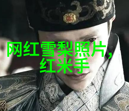 网红雪梨儿子有点傻网红生活雪梨儿子的趣事天才但有些许笨拙