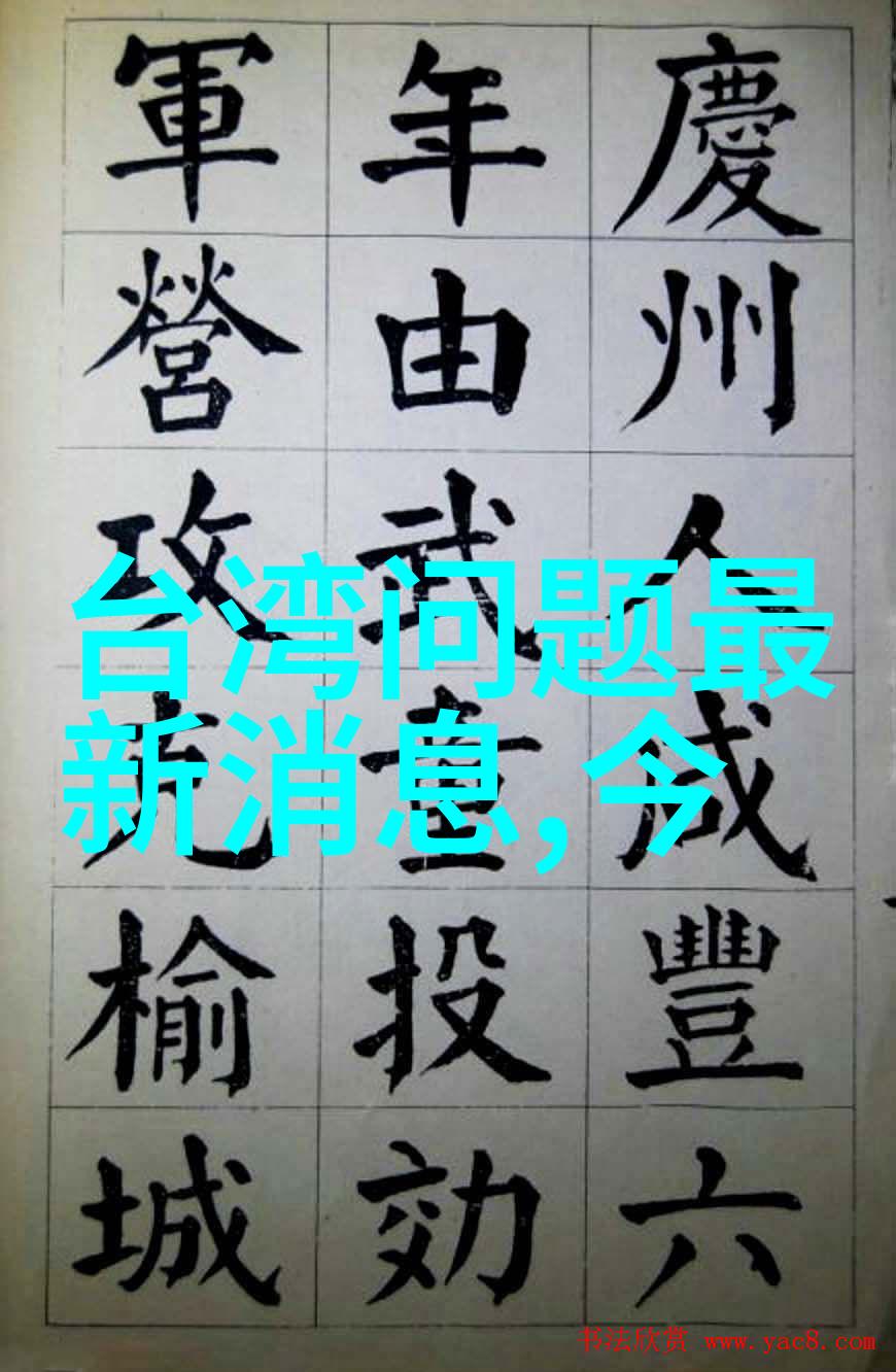 时尚女士写真优雅女性的镜头中