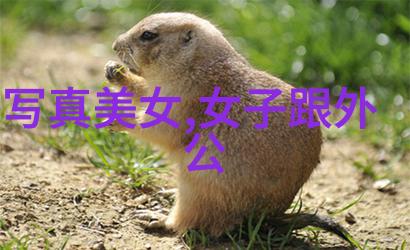 梦幻西游中的好听id又是谁