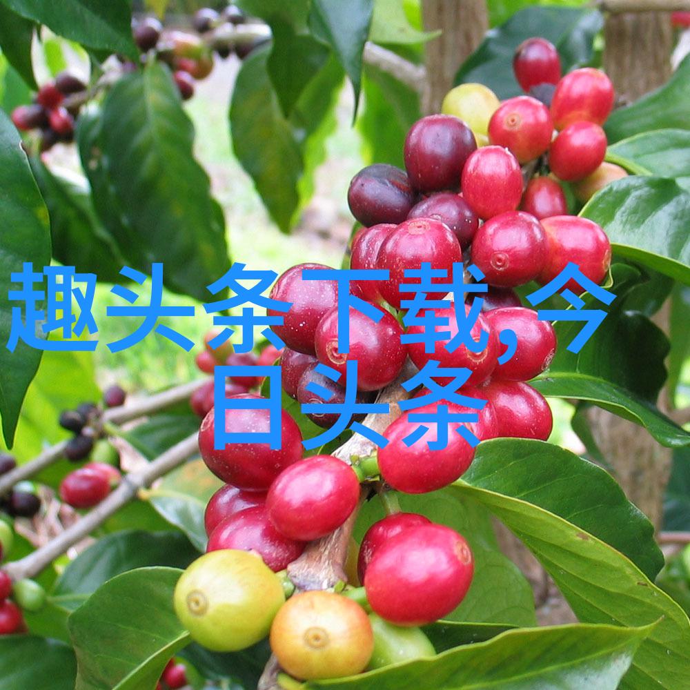 时尚传播2022年女装流行风格大揭秘