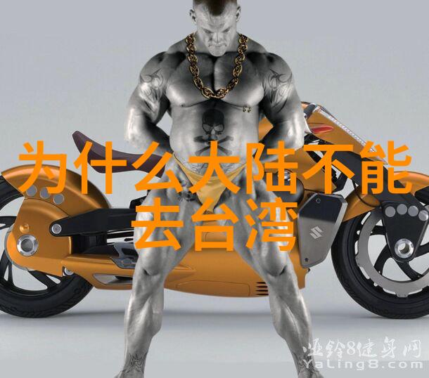 现在就出发综艺免费观看完整版-追星不再远现在就出发开启综艺盛宴的无限世界