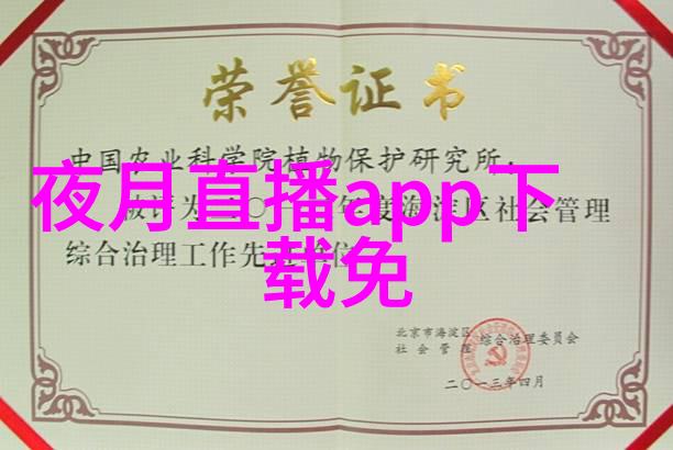 虚拟梦境青春的无限舞台
