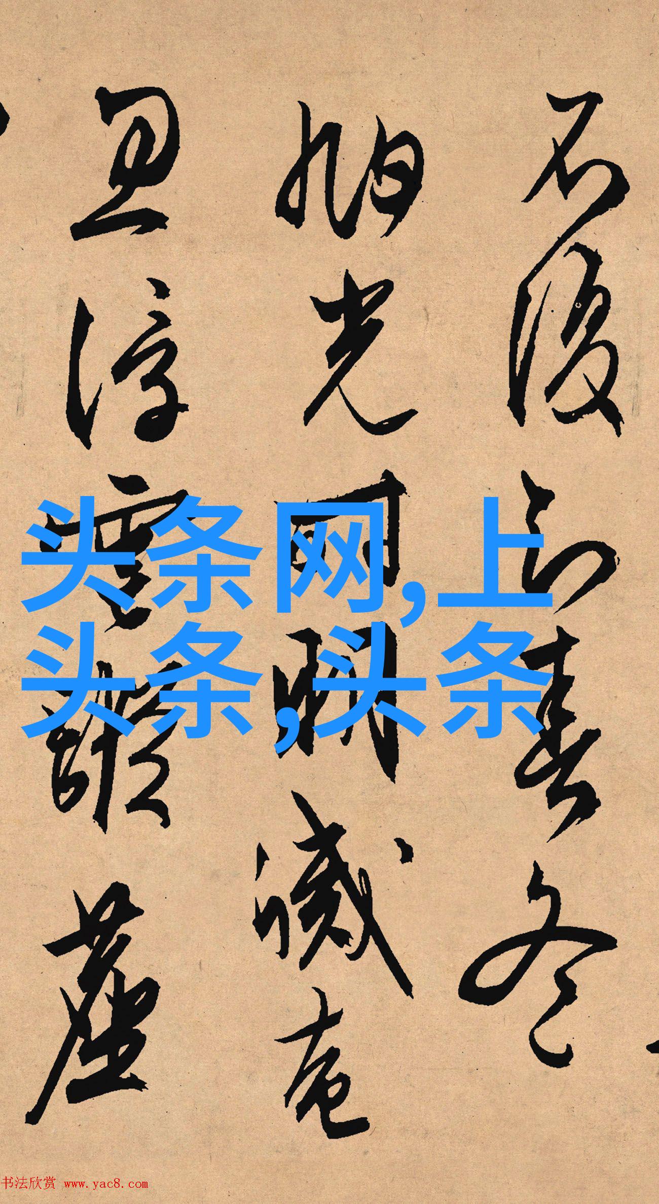我们可以从哪些角度分析和欣赏一张关于柳岩的照片呢