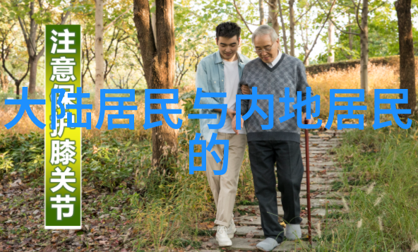 天地八卦秘籍解读后天五行的神秘力量