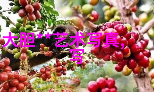 镜头里的笑声与闪光的秘密