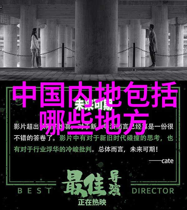 花姐影视研究探索当代女性导演在中国电影产业中的地位与影响