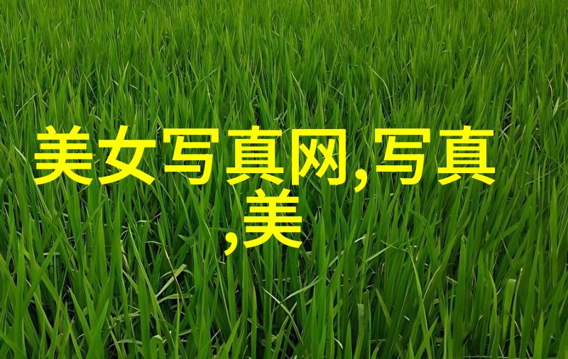 广西综艺旅游频道探索南国风情的独特方式