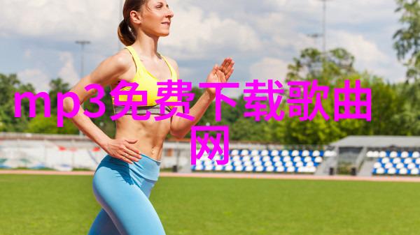 回响中的岁月老歌100首经典老歌免费听