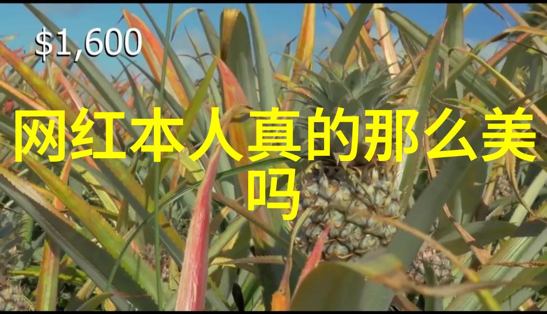 火焰纹章古老的守护符号