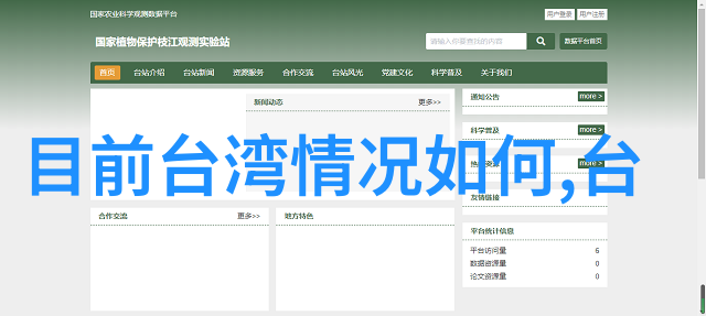 网红本人真的那么美吗 - 镜头下的完美解析网红的魅力与现实