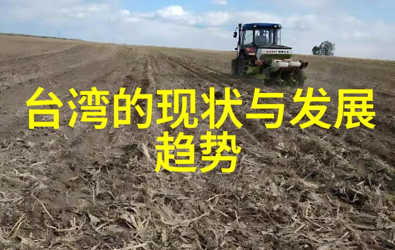 小镇上的电影节如何用简单的手段创造出一场由野花西瓜及免费视频组成的大型庆祝活动