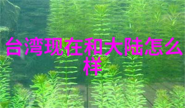 番茄影视红色幕布上的绿意盎然