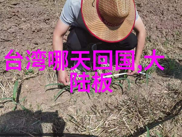 台湾现在和大陆关系-跨海桥梁深化两岸经济合作与文化交流的新篇章