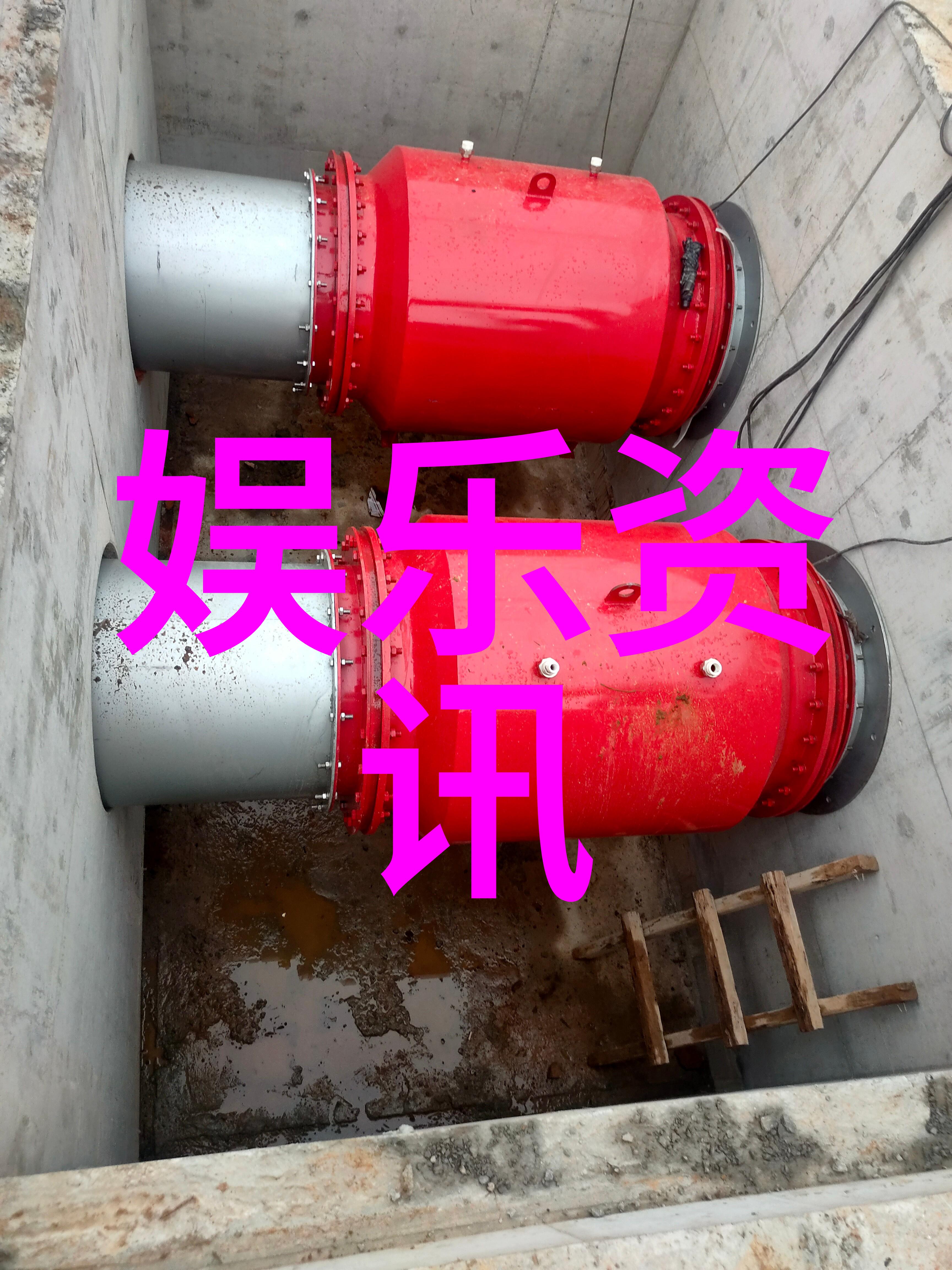 童话综艺我在这里跳舞我的魔法在这儿亮相