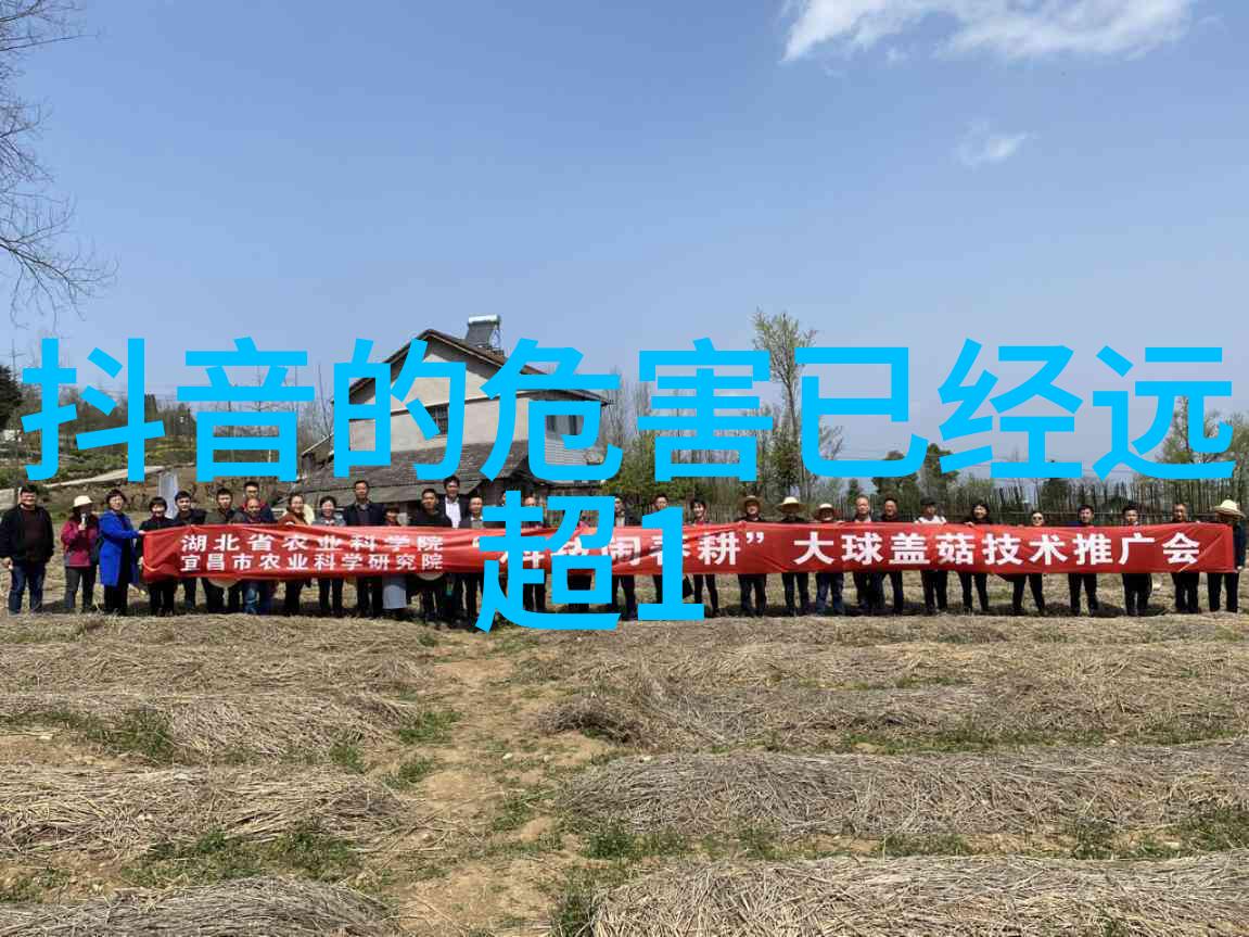 三级电影色彩斑斓的影视边缘