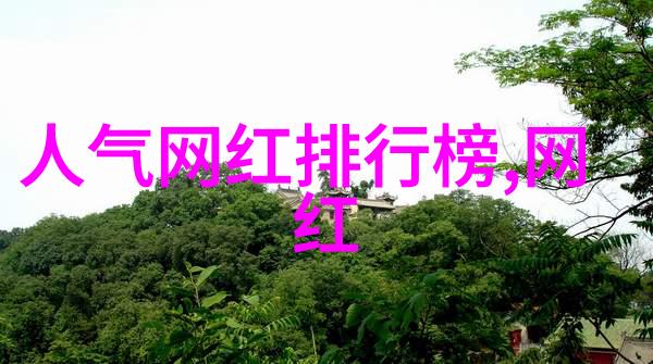 网红雪梨的个人介绍我的风采展现