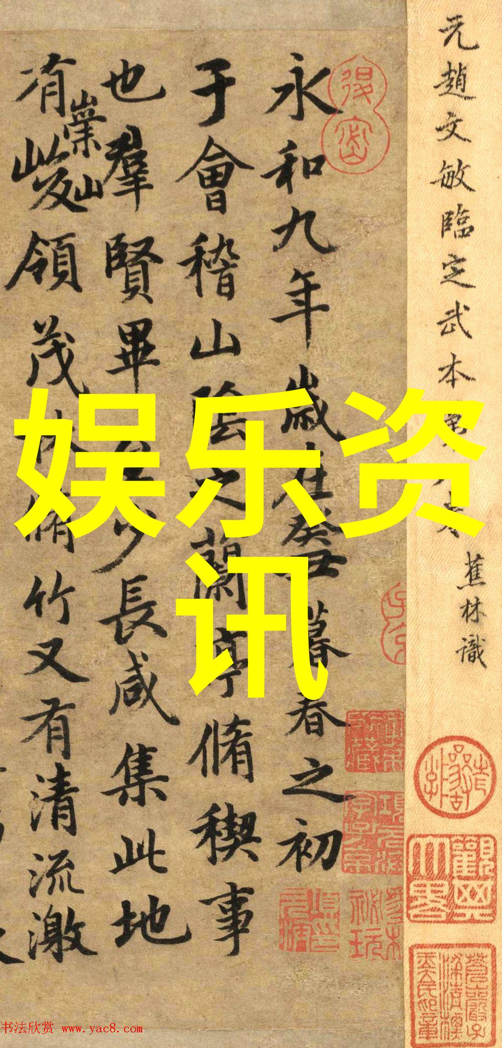 摄影师的眼神捕捉瞬间的美好与深刻