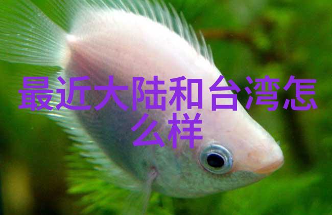 网红雪梨的秘密整容前后的惊人转变