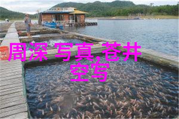 把握抖音流行音乐的关键如何评估一首歌曲的火爆程度