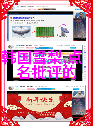 重生之娱乐天王从星光边缘到舞台霸主的奇迹