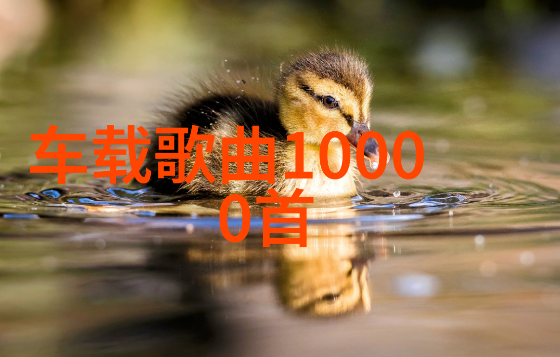 冰封的谜团