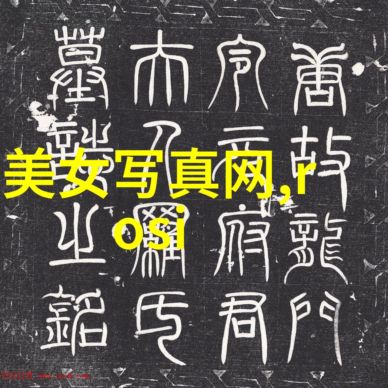 主题我与丝袜写真的故事