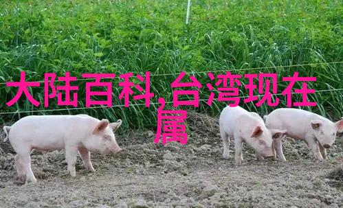 欢笑与哀伤交织的舞台娱乐至死的反思