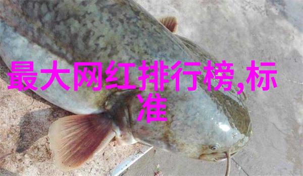 音符的旅行全球十首抚心纯音乐
