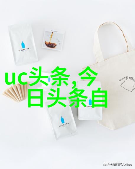 音乐会上的魔术师现场表演背后的技术与艺术
