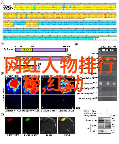 星座解析探索1月出生的天体秘密