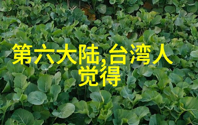 八一影视揭秘那段被遗忘的传奇