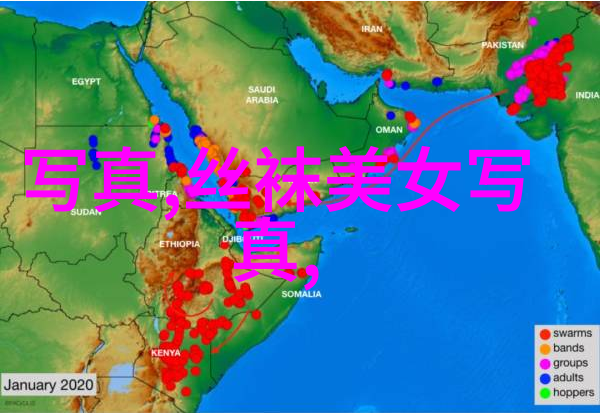 深度解读UC头条科技新闻视角下的学术研究方法与应用