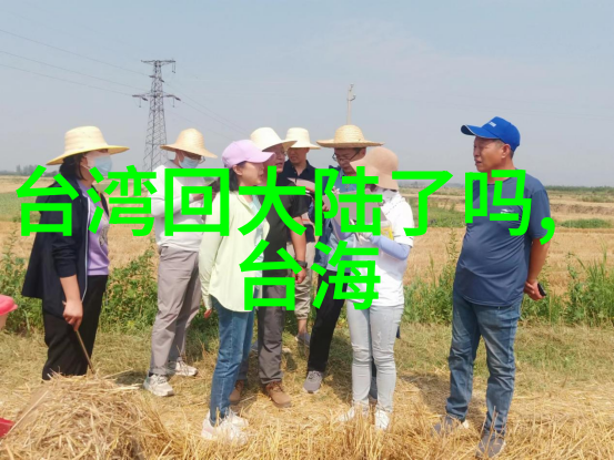 揭秘中国最准的免费八字算命网精准解析命运之轮