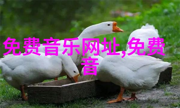 17313数字密码背后的历史秘密与现代应用探索