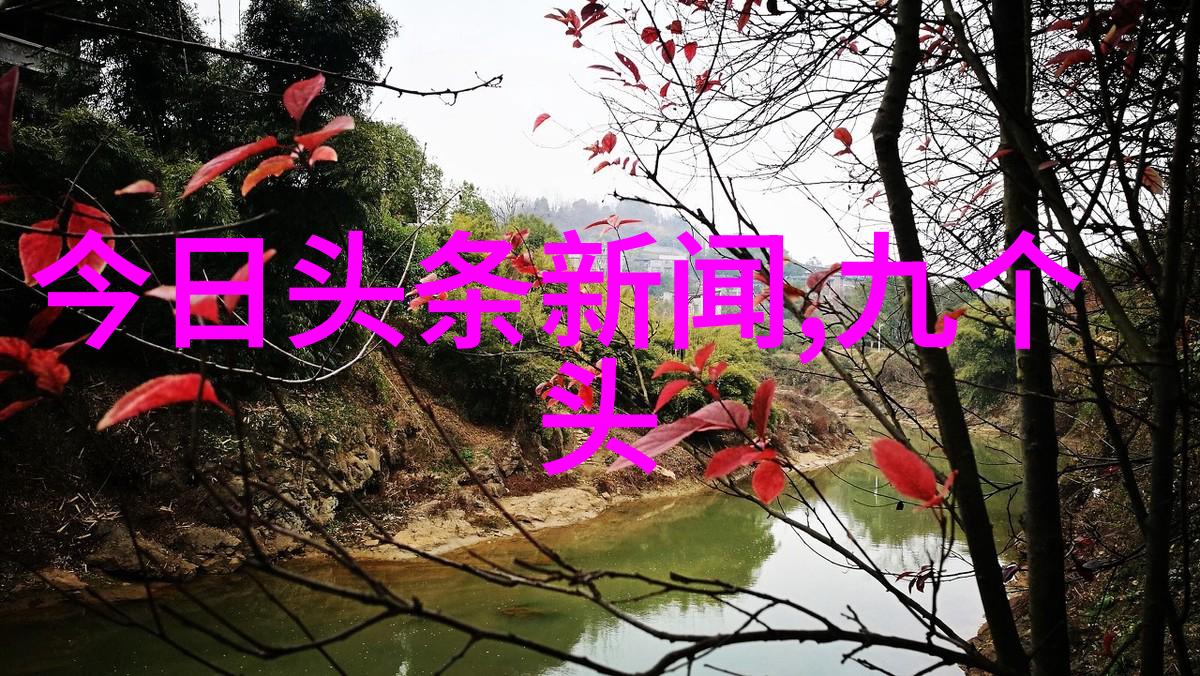星辰之舞揭秘11月22日的天文秘密
