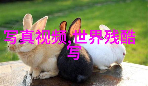 王源山水时尚酒店风采出悠然自得展现田园诗意魅力