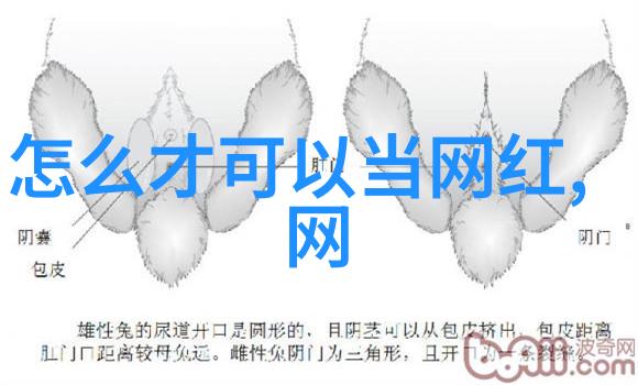 画卷中的白鹿电视剧背后的艺术故事
