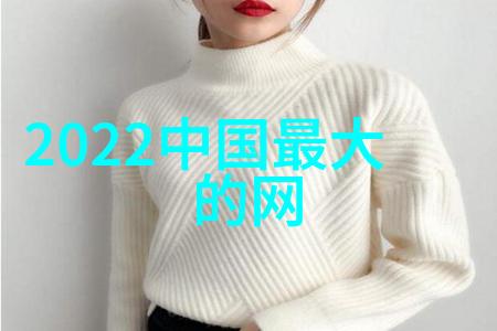 黄晓明从宝贝到巨星