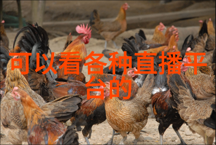 台湾娱乐1971回顾那一年音乐电影与舞台上的华语文化辉煌
